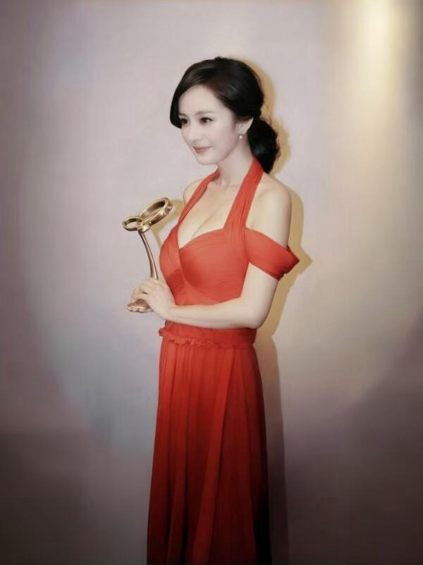 八五花九提白玉兰视后详情第17届最佳女主角：王珞丹《杜拉拉升职记》杨幂《宫》邓萃