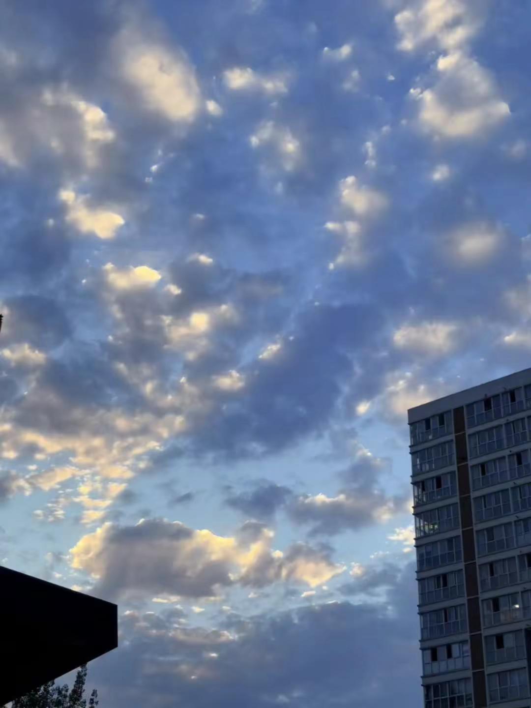 老己 明年一定要顺顺利利的然后幸福2025年vlog日常