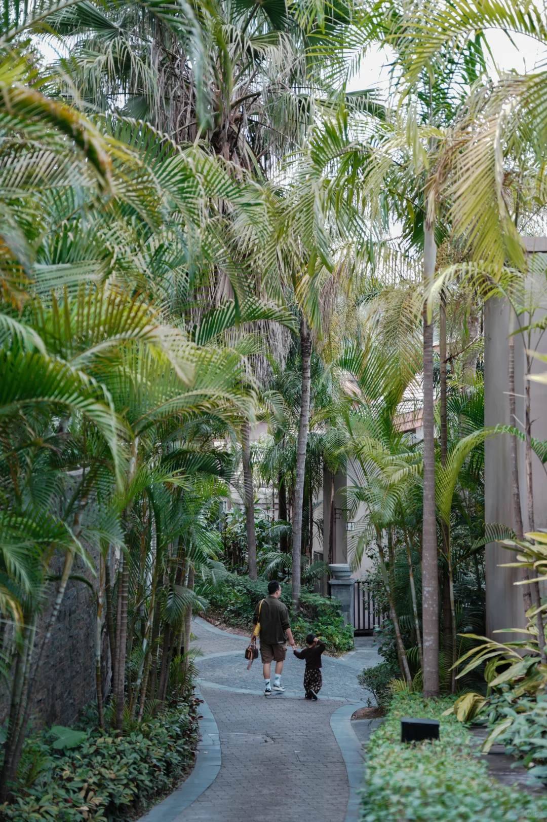 “广东小泰国”，值得二刷的温泉度假村🌴