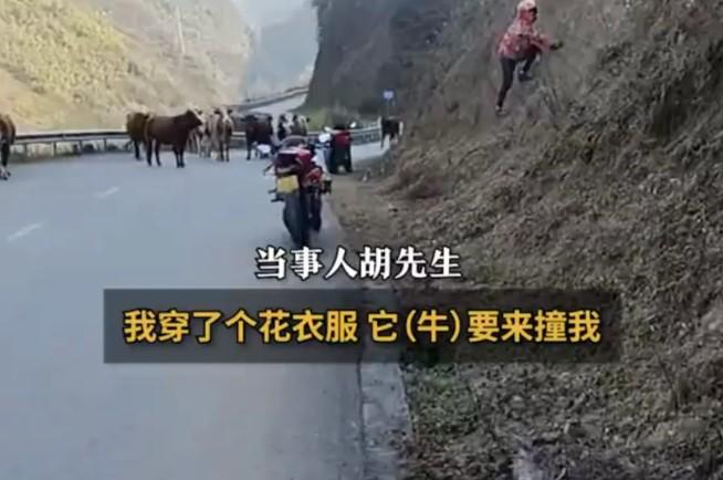 云南昭通的胡先生最近经历了一场 “惊魂骑行”，说出来又惊险又好笑！
11 月 2