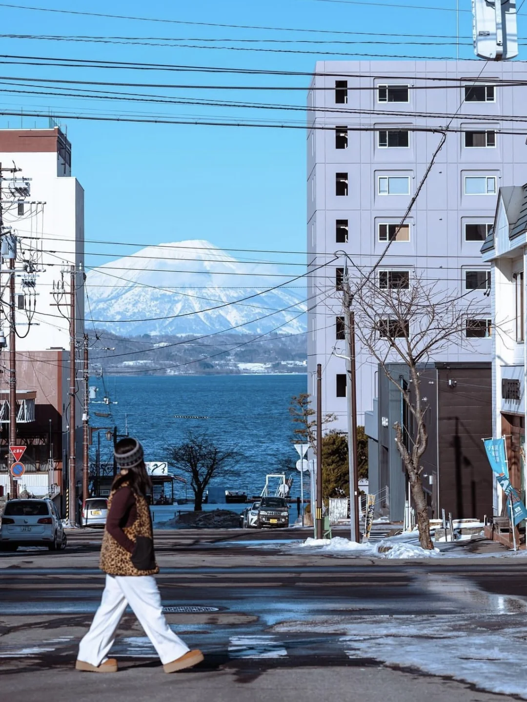 此刻怀念北海道的心到顶峰❄️交通景点攻略