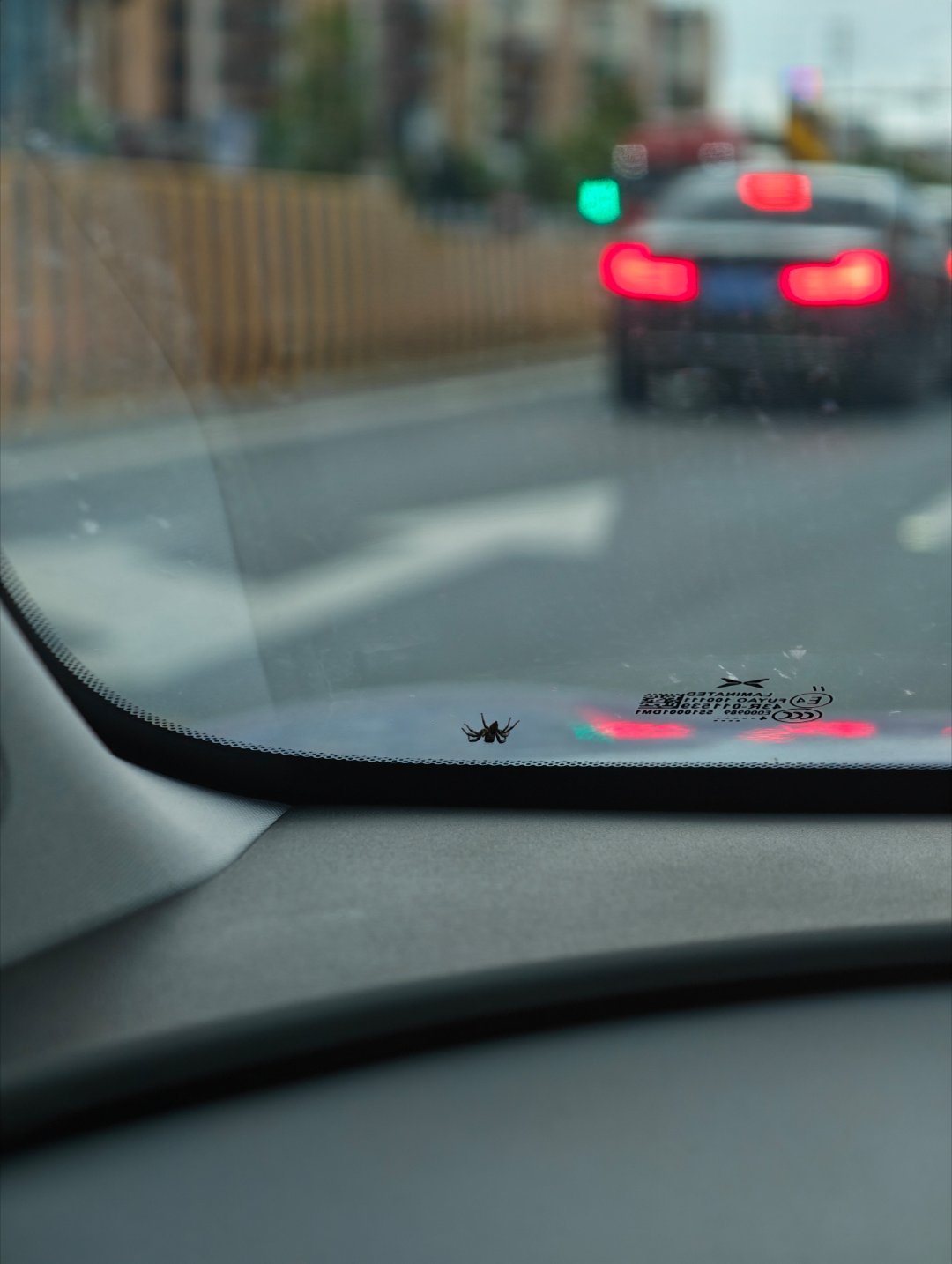 车里莫名其妙出现一只蜘蛛还是黑色？不会有毒吧，兄弟们？啥时候跑进来的