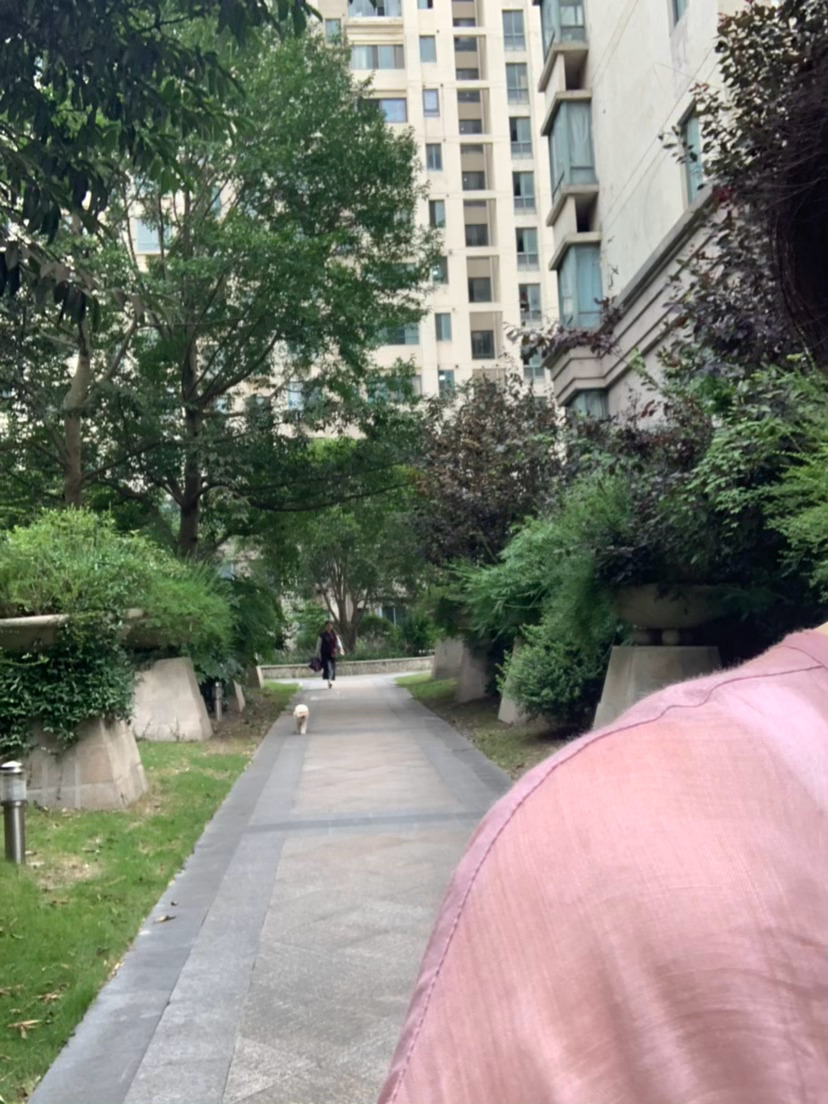越来越倔每次都要发火才行 