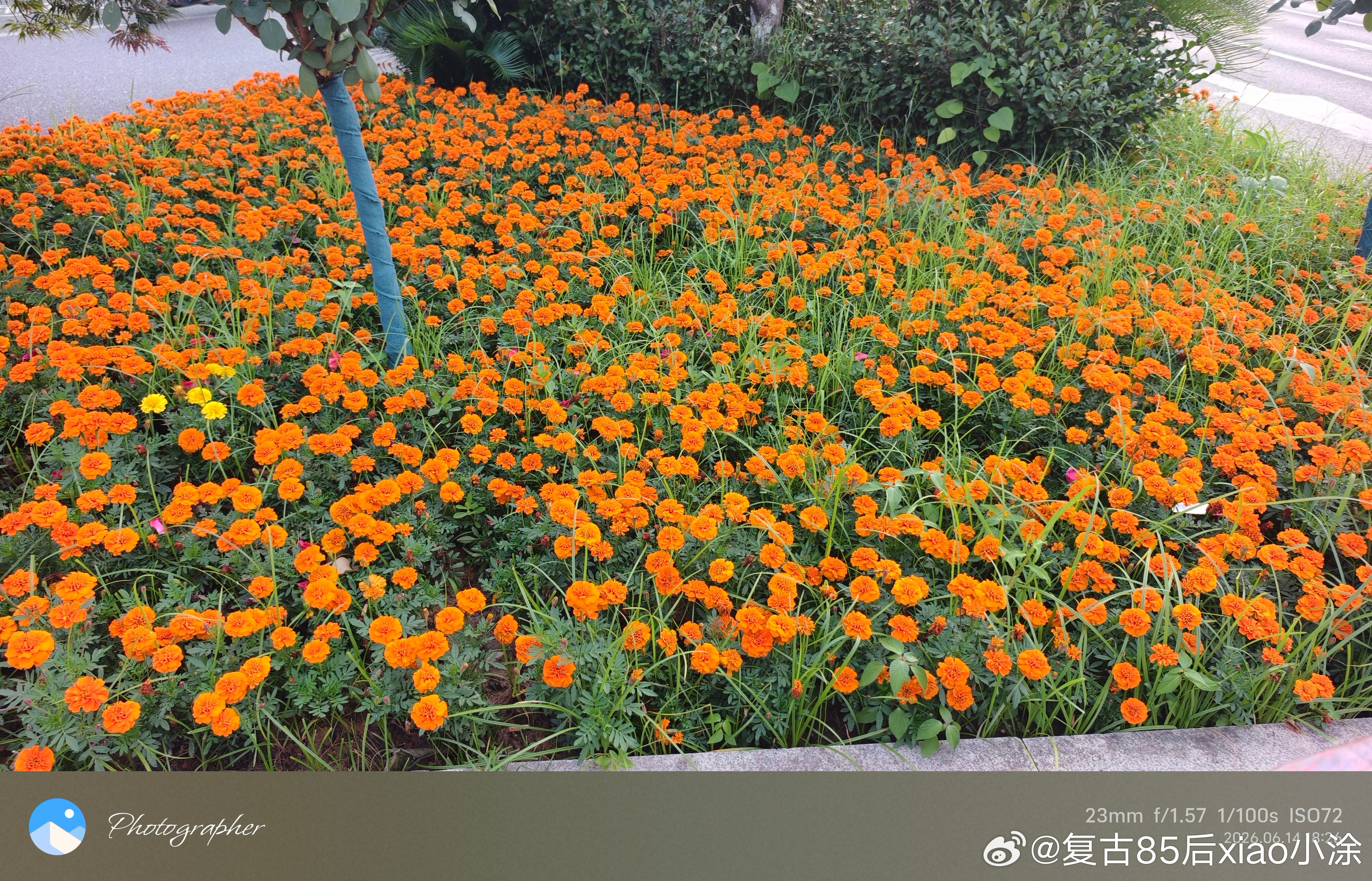 水不动就是死水，人不动就是废人。人要有六动：关系靠走动，团队靠活动，客户靠感动，