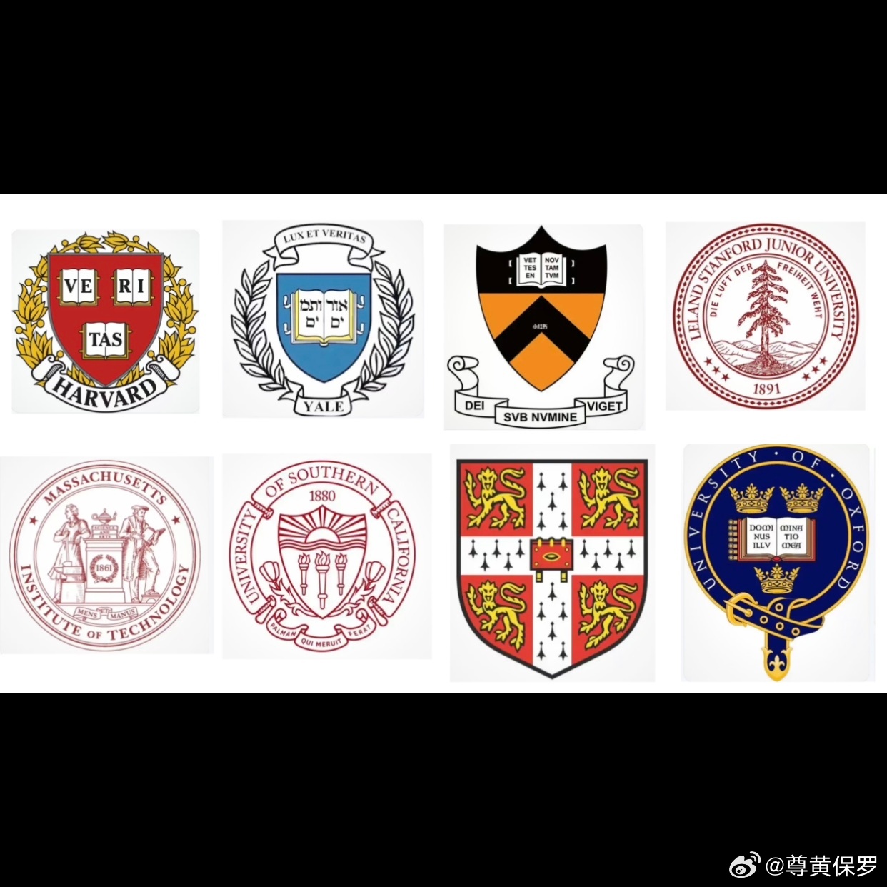 哈耶普斯麻南加剑牛（校徽），我试用几句去概括它们：会思考、会做事、有责任感、善于