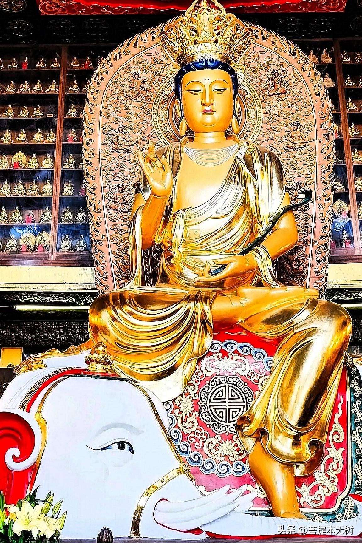 遇普贤金身，见者接福，所求皆如愿🙏
 
鎏金法相端庄慈悲，端坐六牙白象之上，手