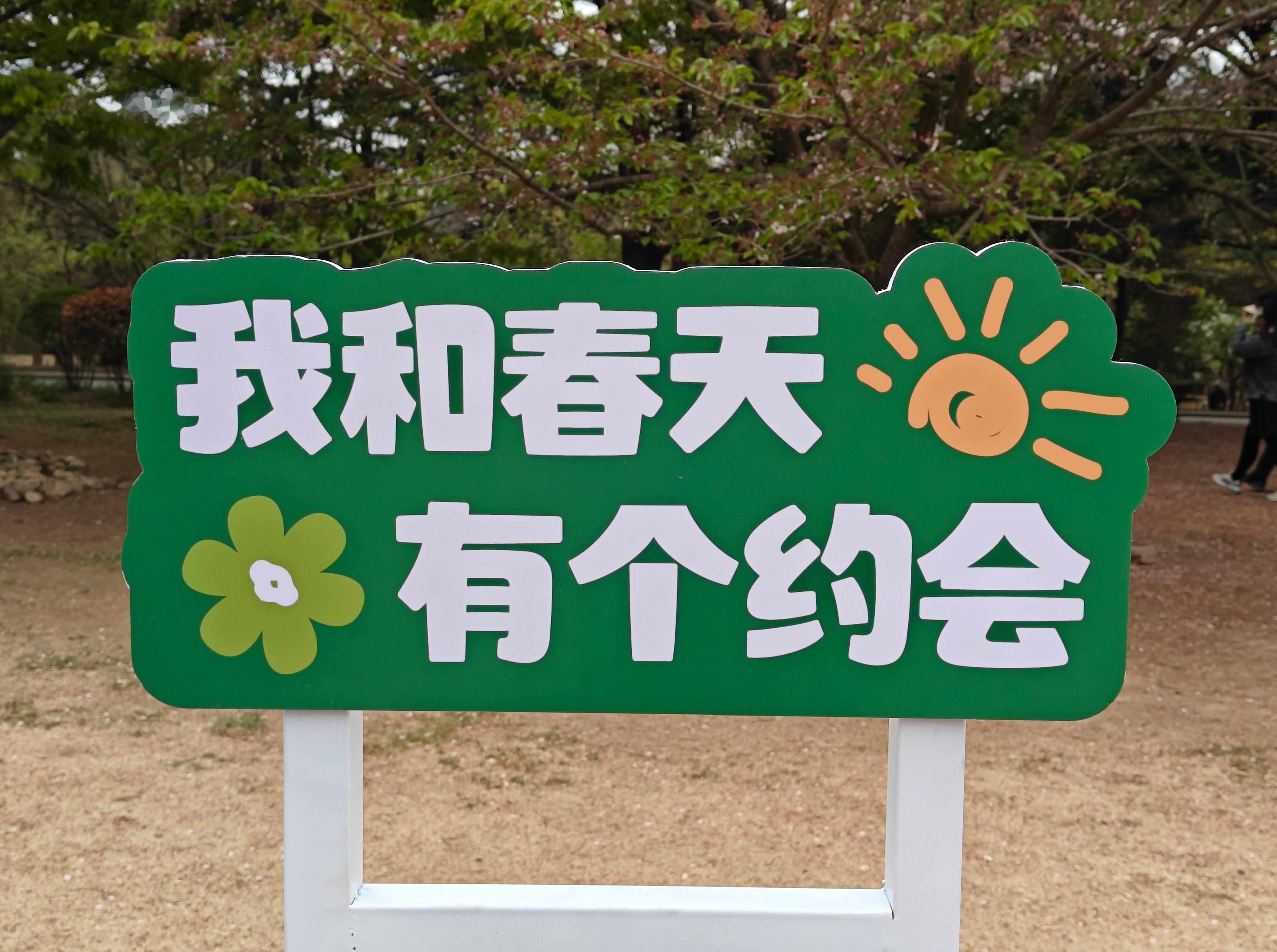 免费音乐会听起来！据说现场还可以体验到华为新品Pura70！#华为pura70#