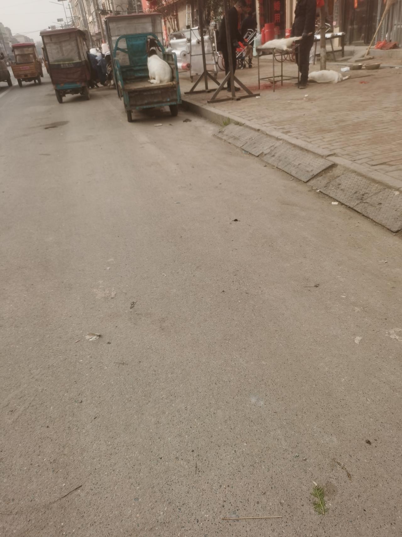 太残忍了！看到杀羊的，把羊头割掉羊腿还在动，头次见