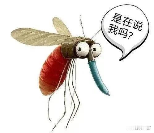 在十几年近二十年前，自己曾在上海奉贤的头桥、奉城、洪庙、四团那一带的家具厂里做过