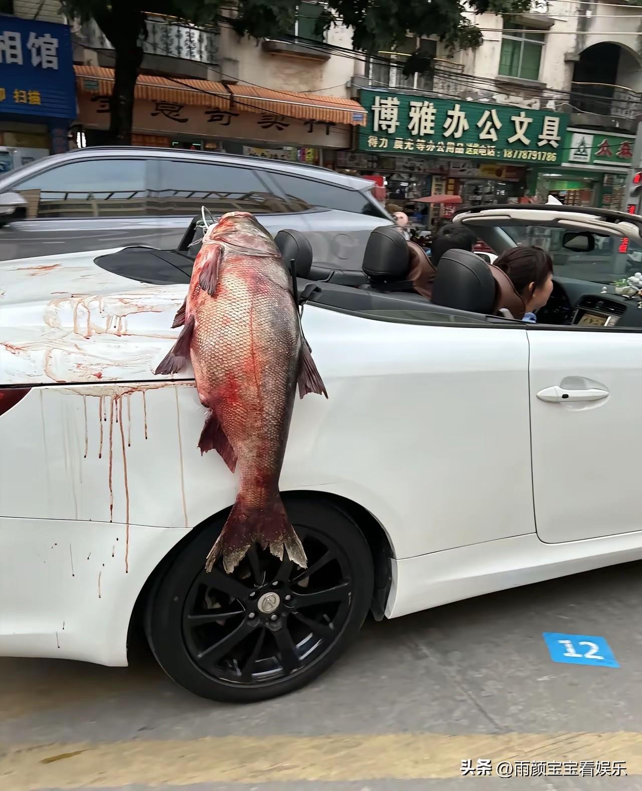 我怀疑车主在炫耀，但是我又没有证据！[捂脸][捂脸]