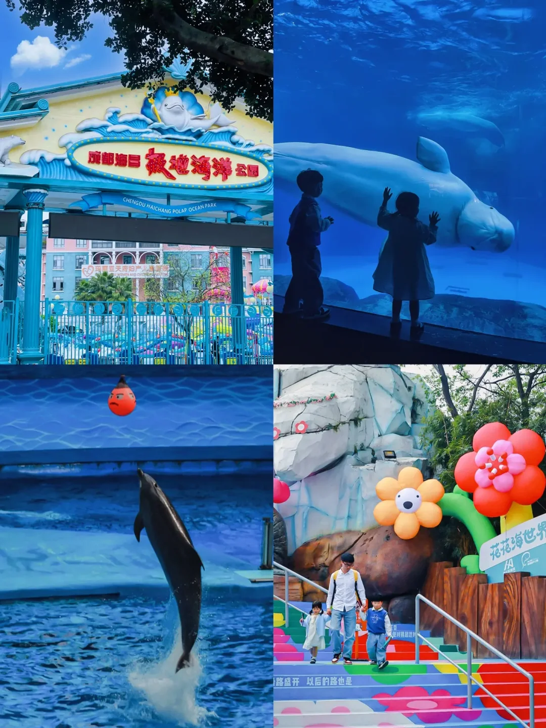 成都遛娃✅｜春天带娃来海洋馆也太治愈了吧~