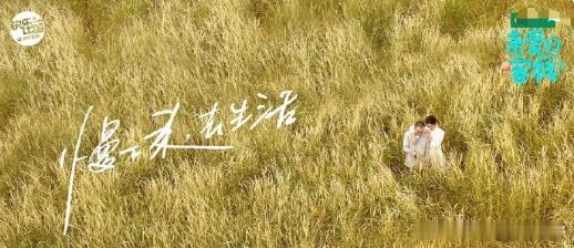 四位主理人在市集中互相协作又各展所长的团队配合，为内娱明星转型创业提供了完美的合