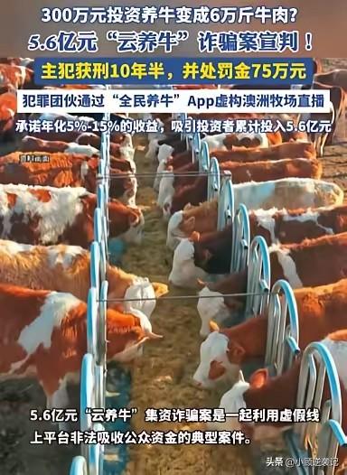 全民养牛，一个响亮的名字！


所谓全民，就有大家参与，百姓参与就叫大众参与，结