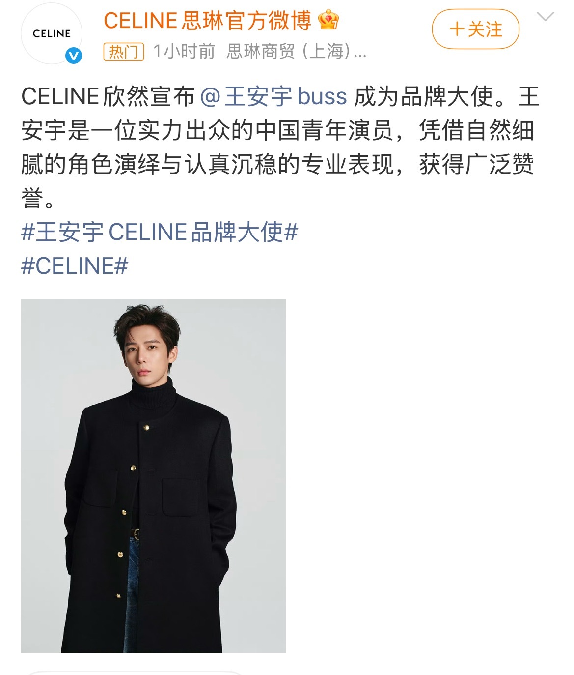 王安宇CELINE品牌大使官宣 