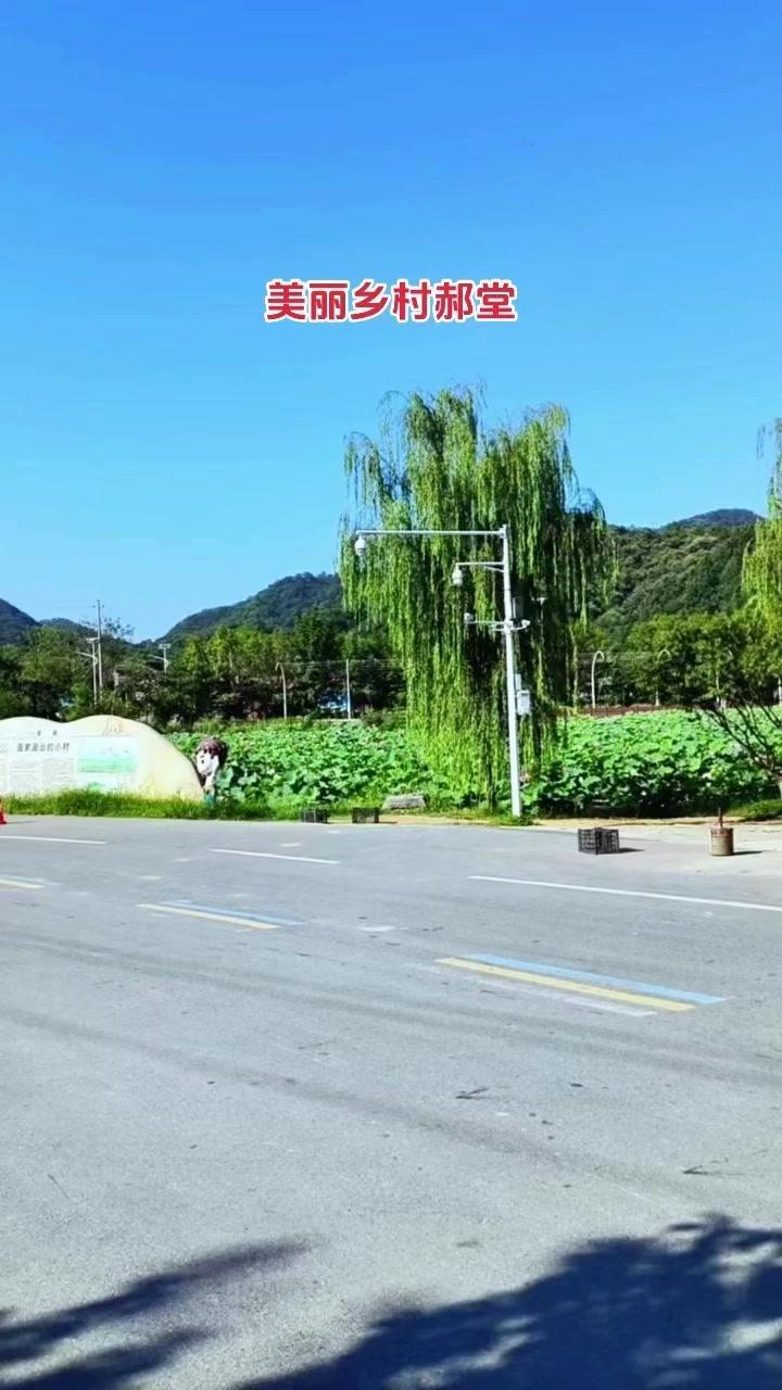 信阳周边宝藏村落｜20分钟车程的治愈系慢生活
藏在信阳平桥区的郝堂村，20公里车