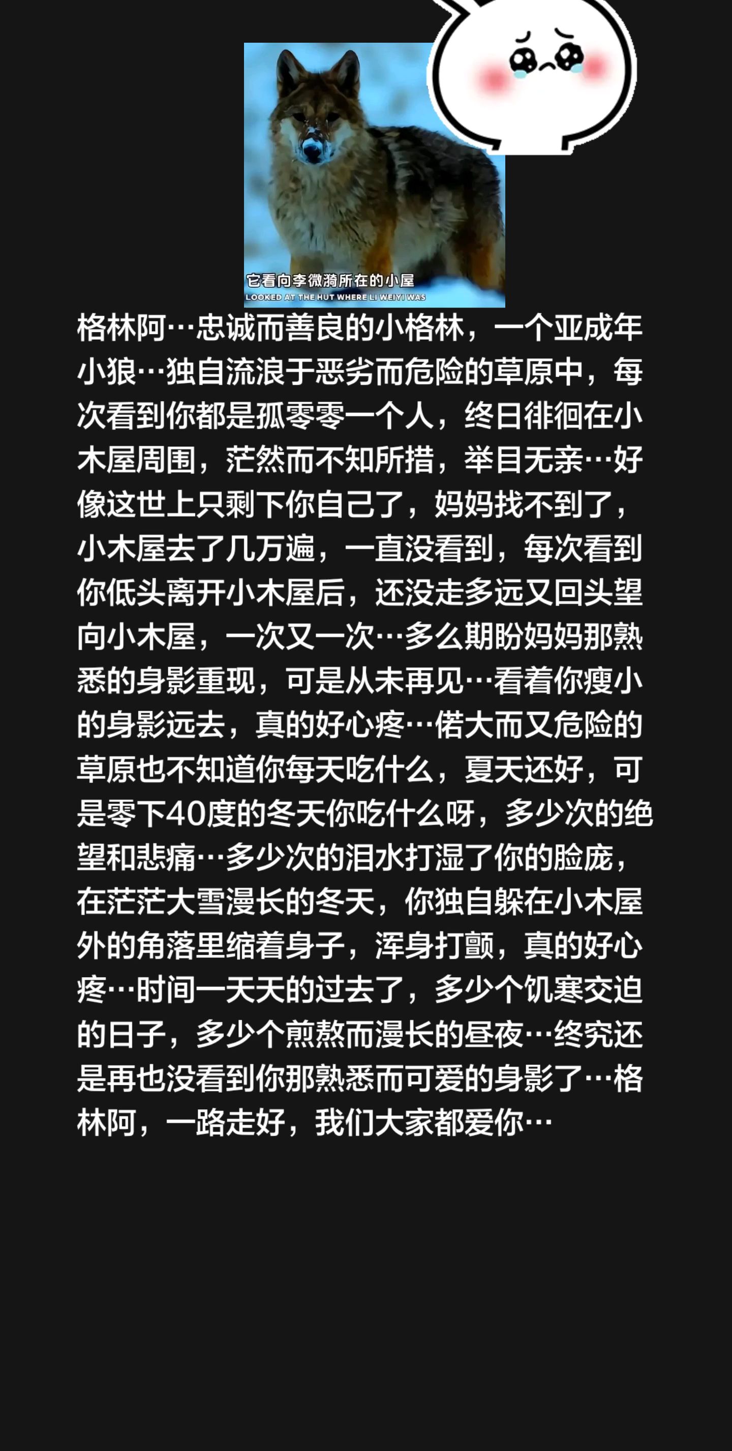 格林，一路走好，我们大家都爱你……我评论了 的作品： 格林阿…忠诚而善...