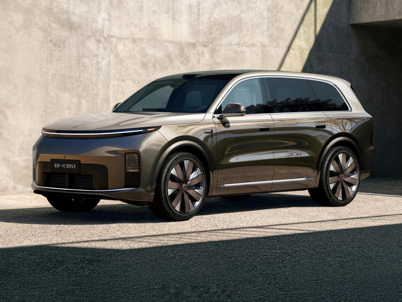 曾经理想L9可是月销过万的啊，倒是希望这次能不能将L9拯救水火之中，看了下其实整