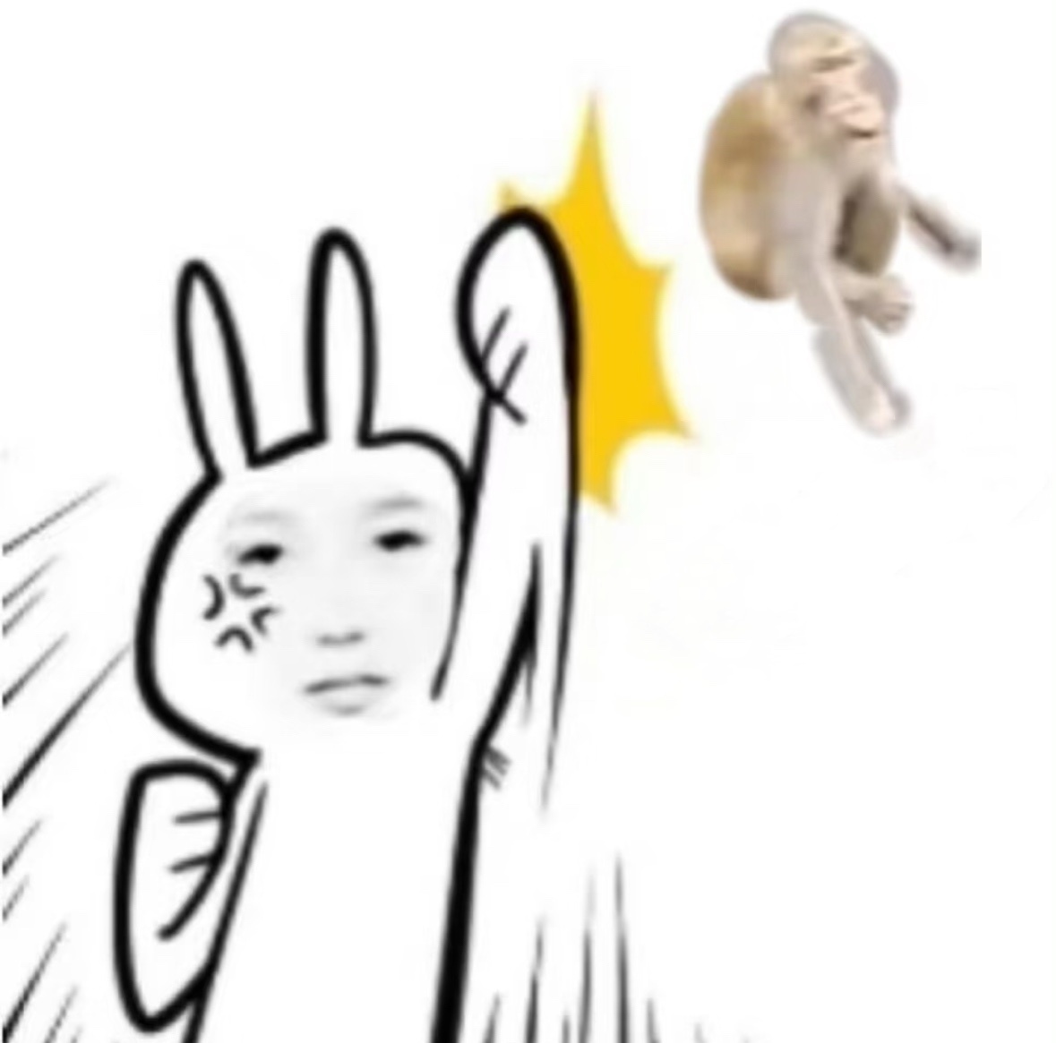 分享图片 