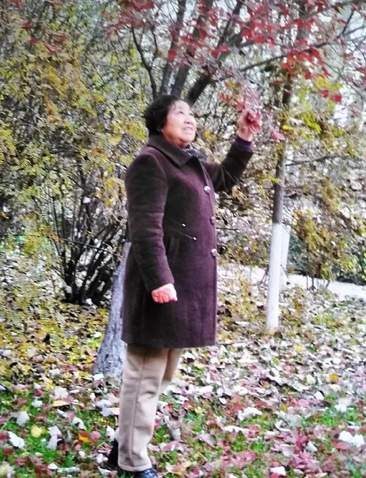 一首老歌，桃花红，杏花白