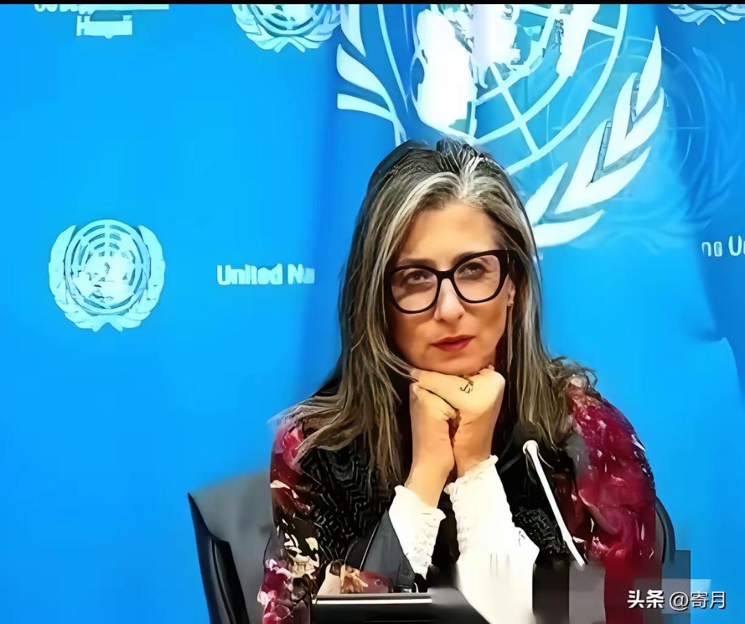 联合国里，终于来了个狠人。一个叫阿尔巴内塞的女人，当着全世界的面，把一份报告直接