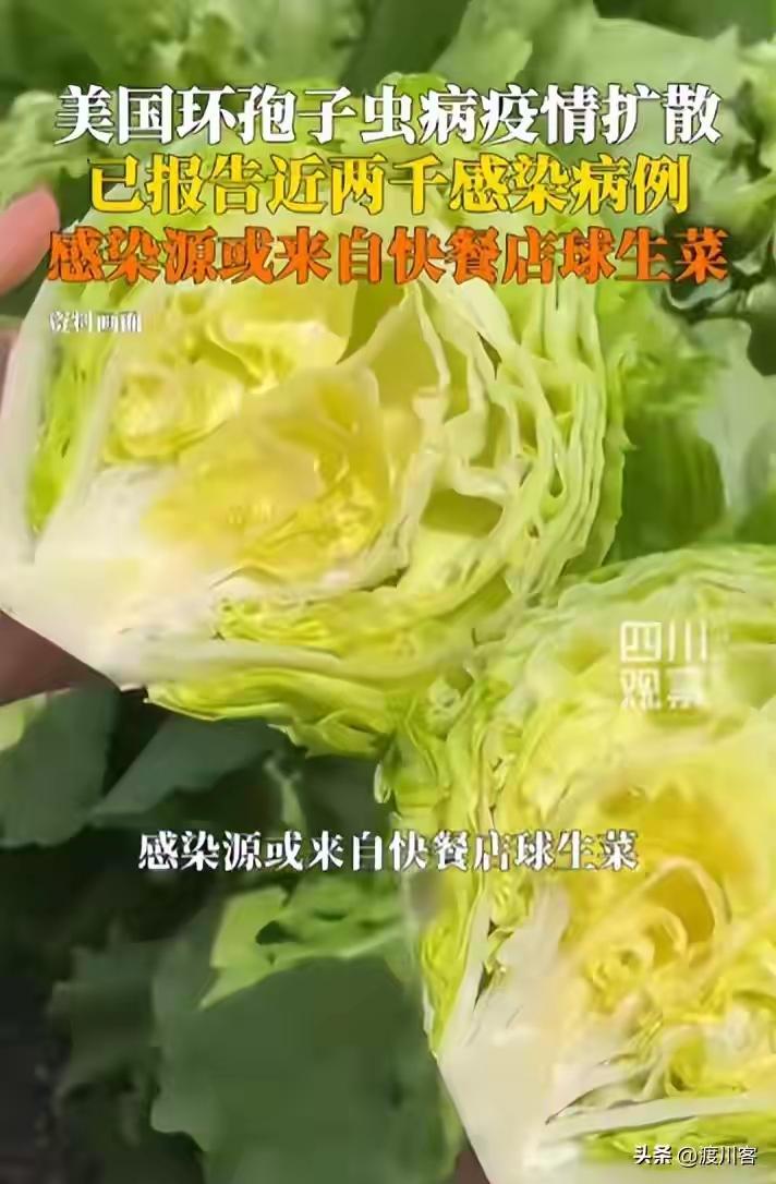 一颗生菜丝掀翻20个州，11458人感染环孢子虫，495人住院，2人死亡——这数