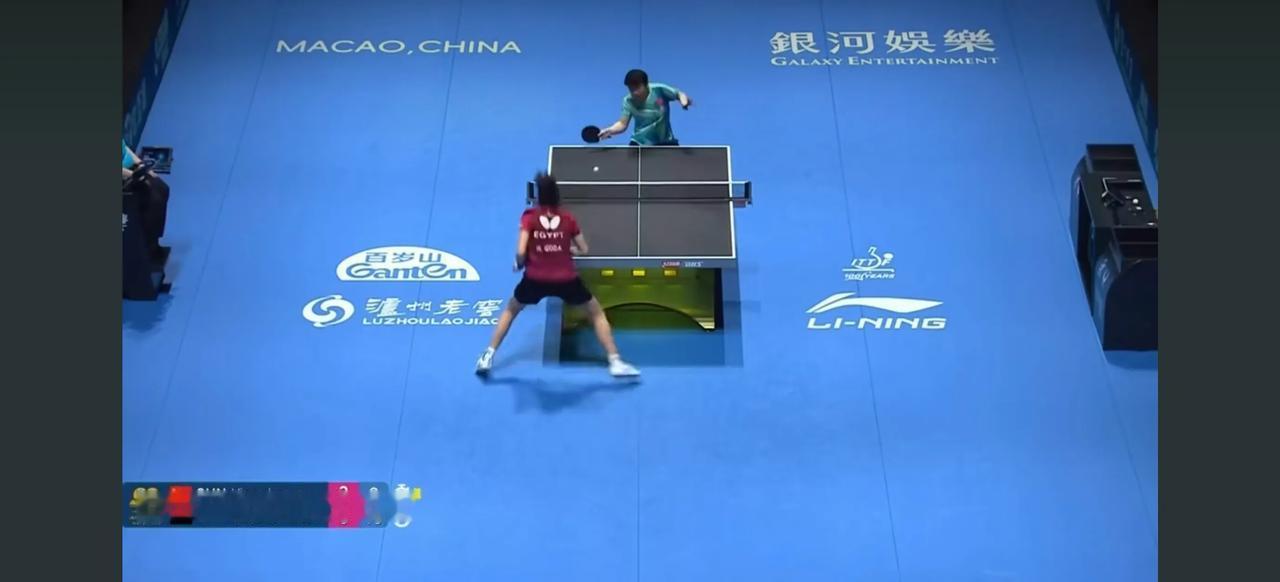 没有莎莎的比赛，在回忆着莎莎的过往。2026年，莎莎给我们带来了一场场精彩的比赛