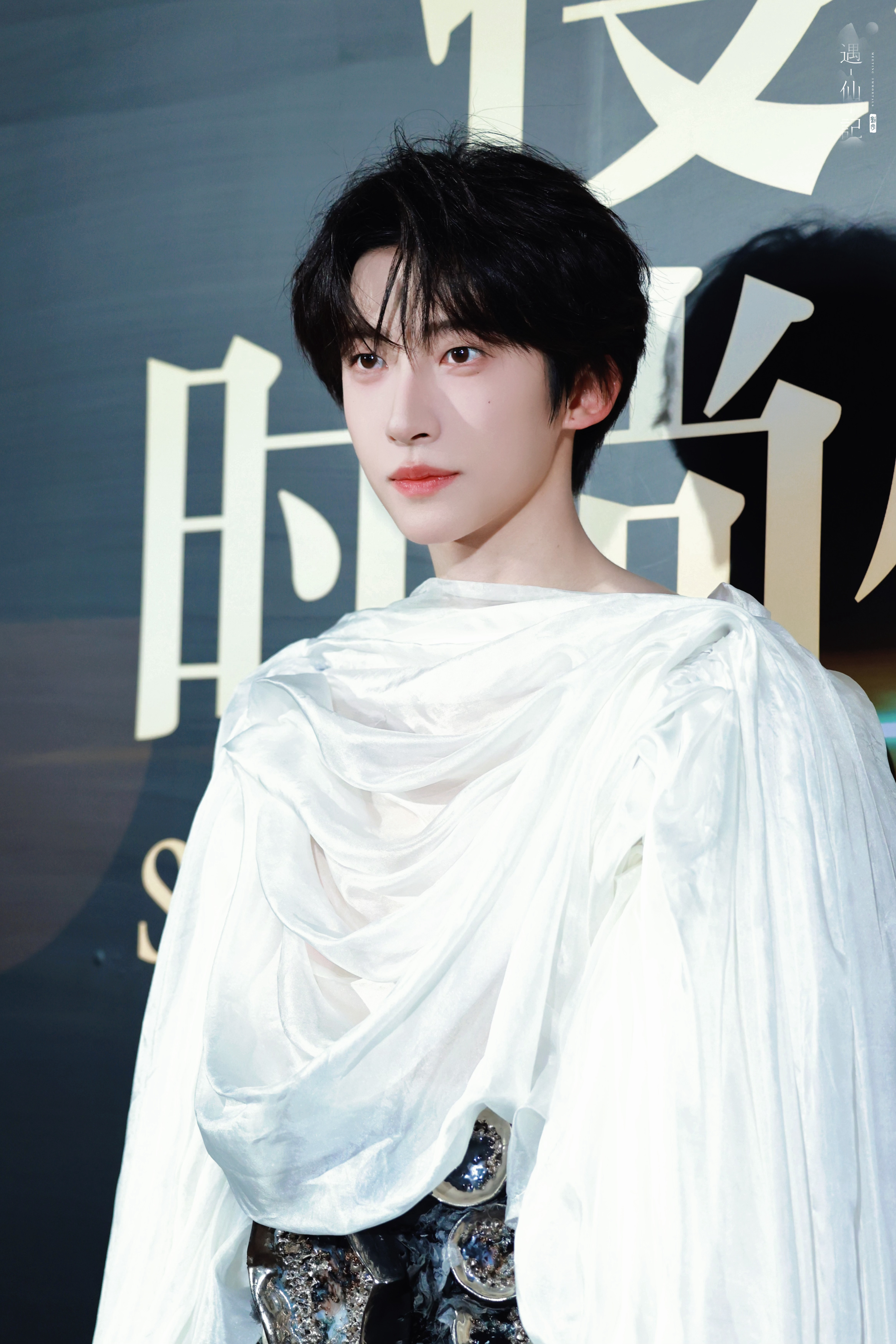 是精灵！ 