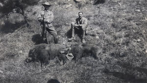 猎人带着两只被打死的野猪，1905年 ​​​