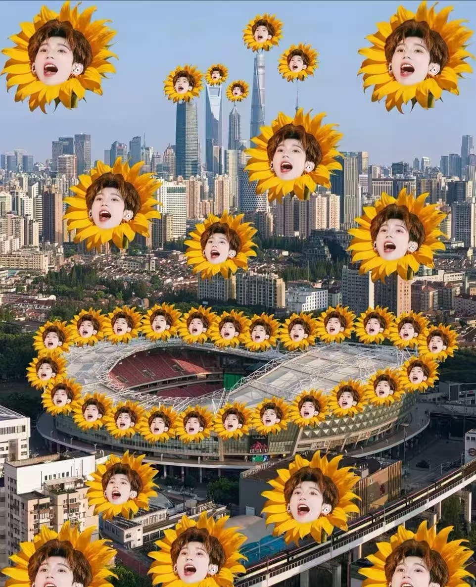 希望上海这几天晚上都别下雨，就算下了也快快停