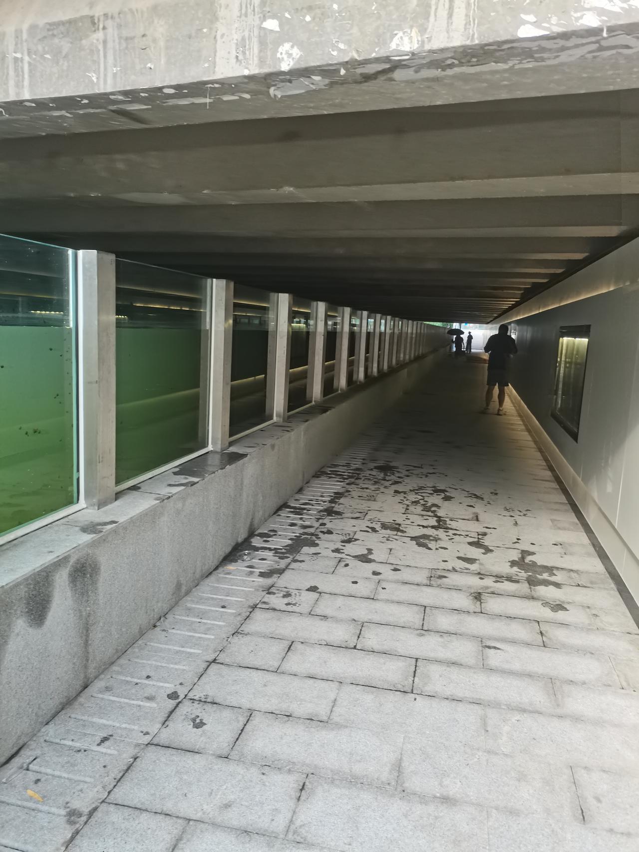 随手拍张照片分享手机里最美风景昨天坐80到了新街口，去德胜门西需要过十字路口，我