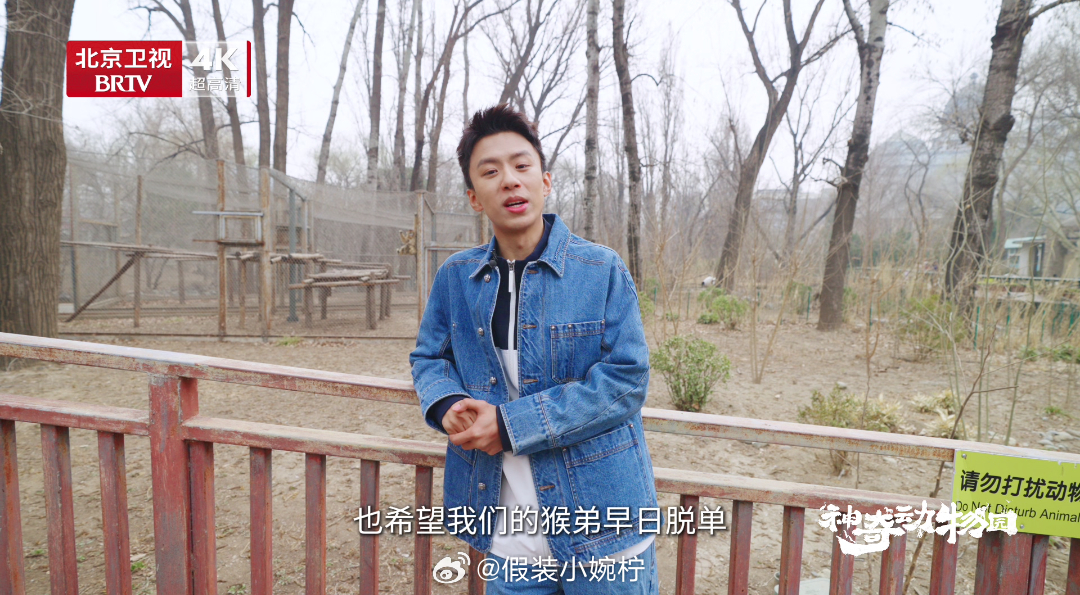 你们相亲都那么好笑吗笑发财了，没想到连相亲市场也开始跨物种发展了，猴子也没想到自