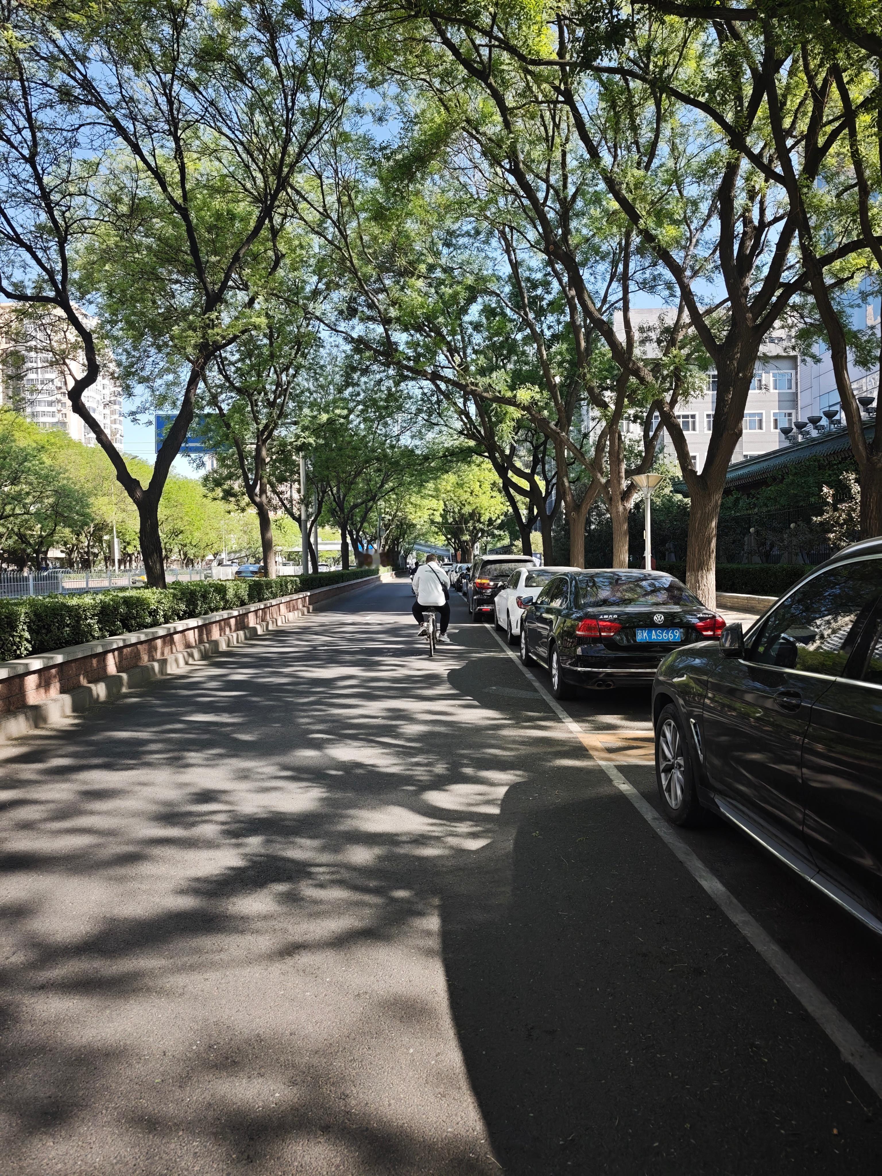 除了柳絮，这个季节北京其实挺舒服的 北京