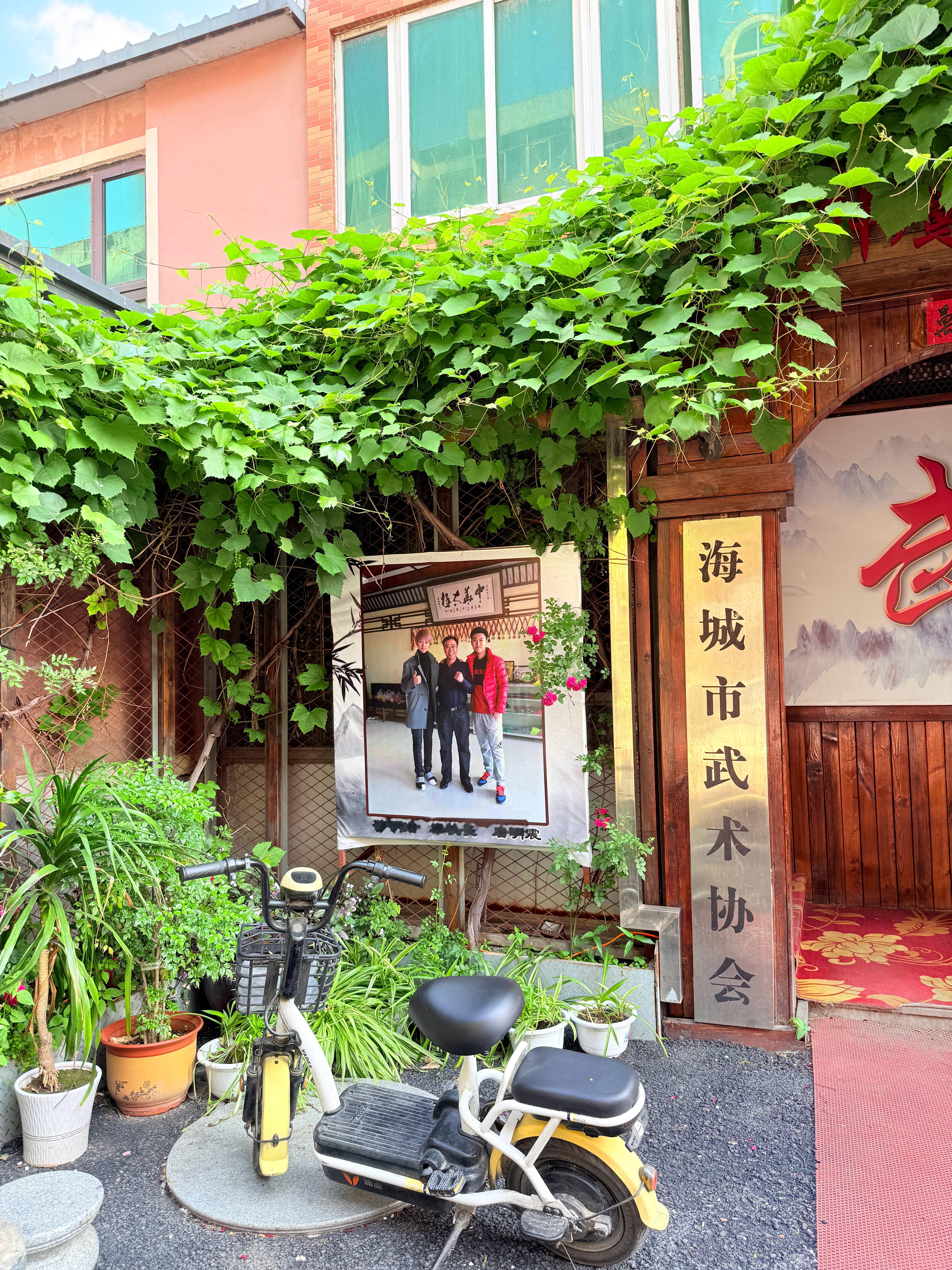 我去从来没见过这张图 