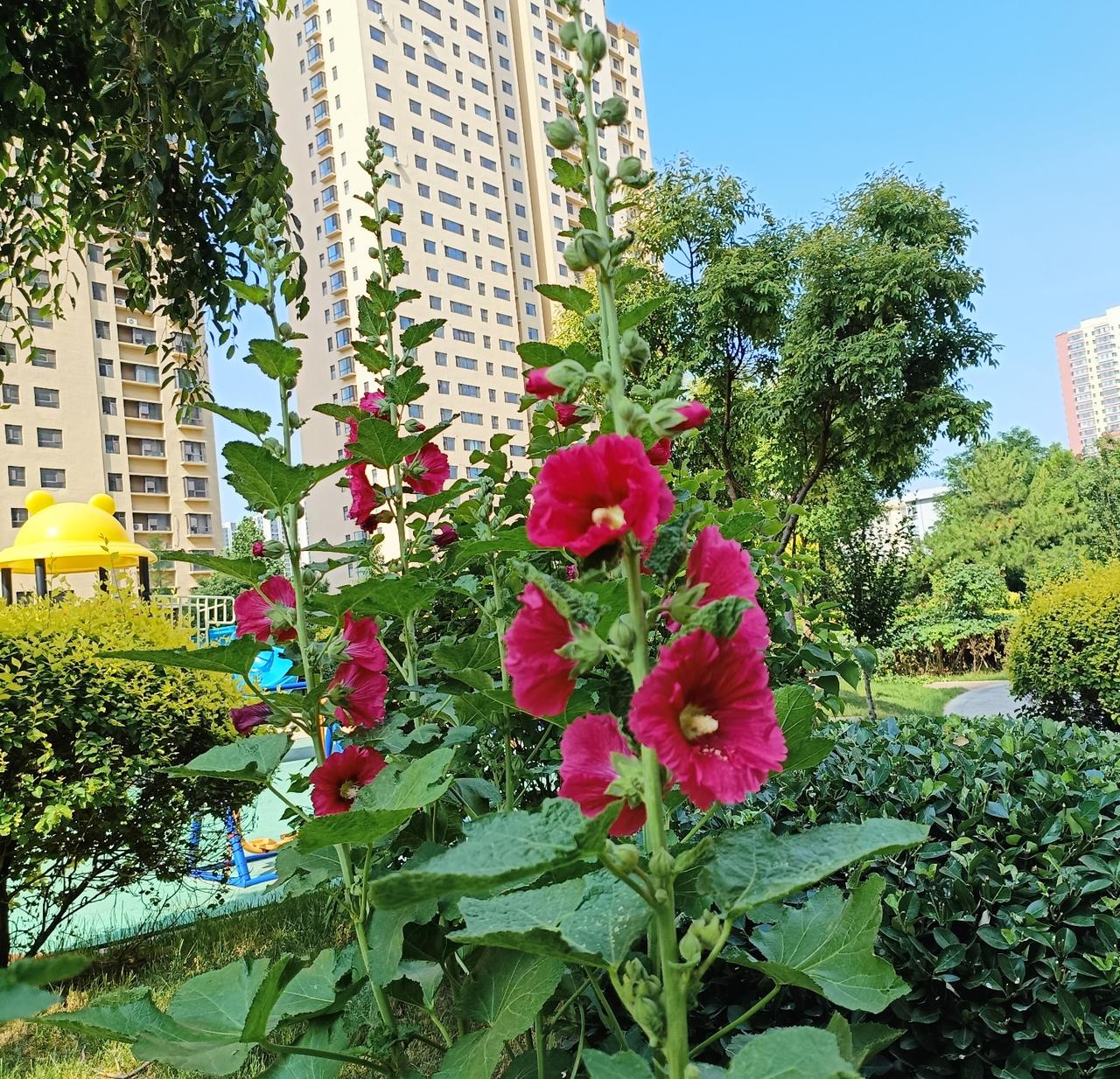 困境当前，焦躁和争执毫无用处。稳住情绪、冷静应对才是上策，家事更要温和从容地去化