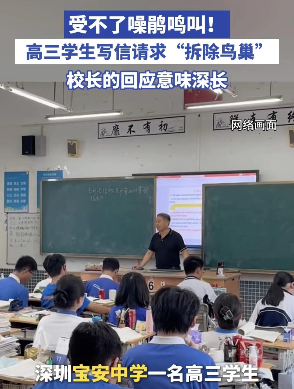 近日，深圳宝安中学一名高三的学生，因为忍受不了校园里的噪鹃整天的长啼鸣叫而写信给