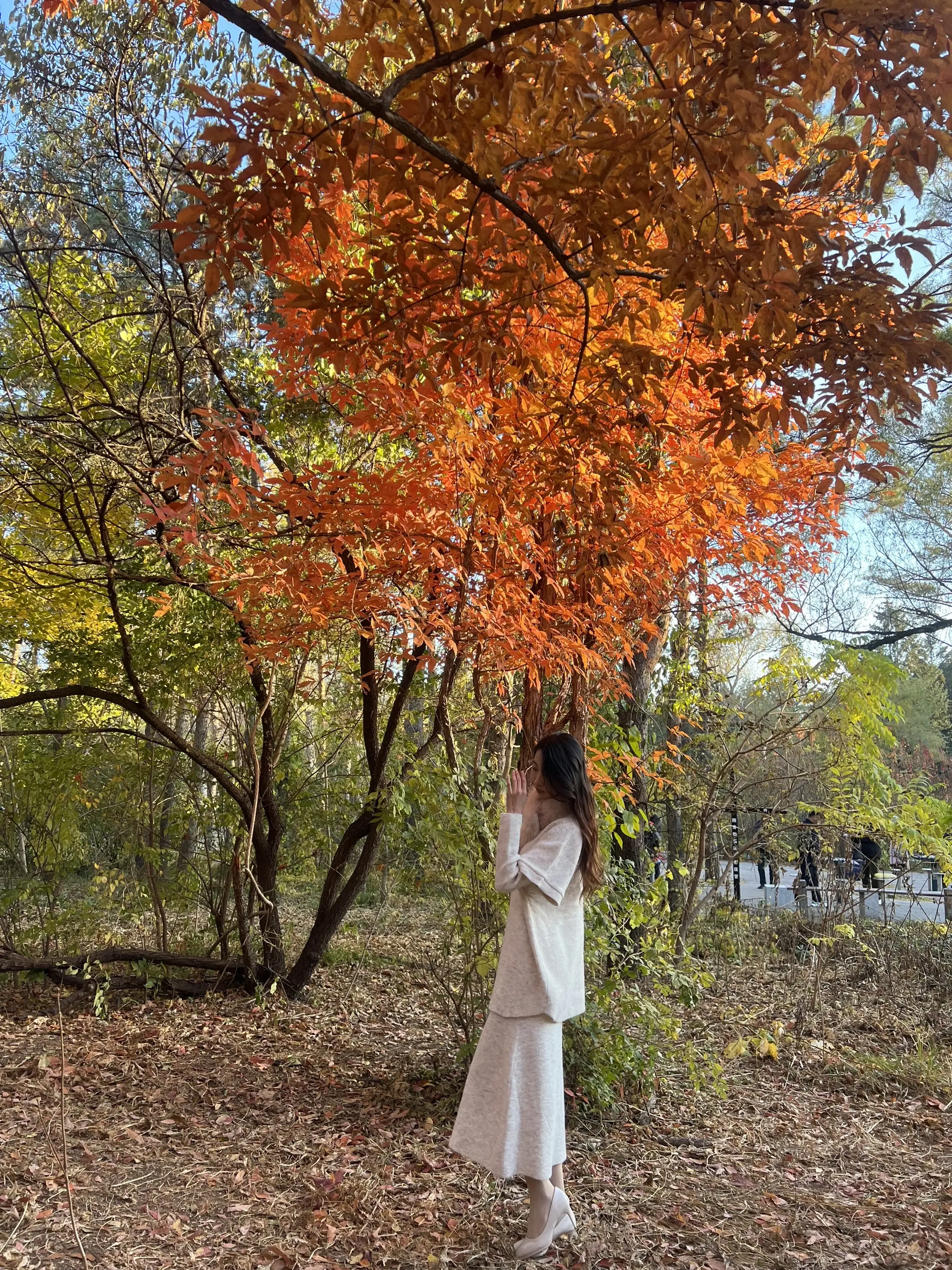🍂