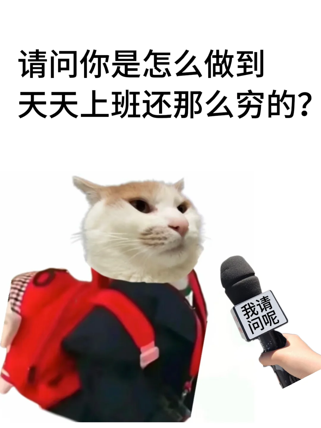 我有个问题不知当问不当问
