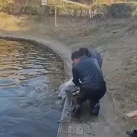 全网寻找的黑衣救人英雄，竟是大学教授！跳水托举+默默离场，网友：这才是师者本色！