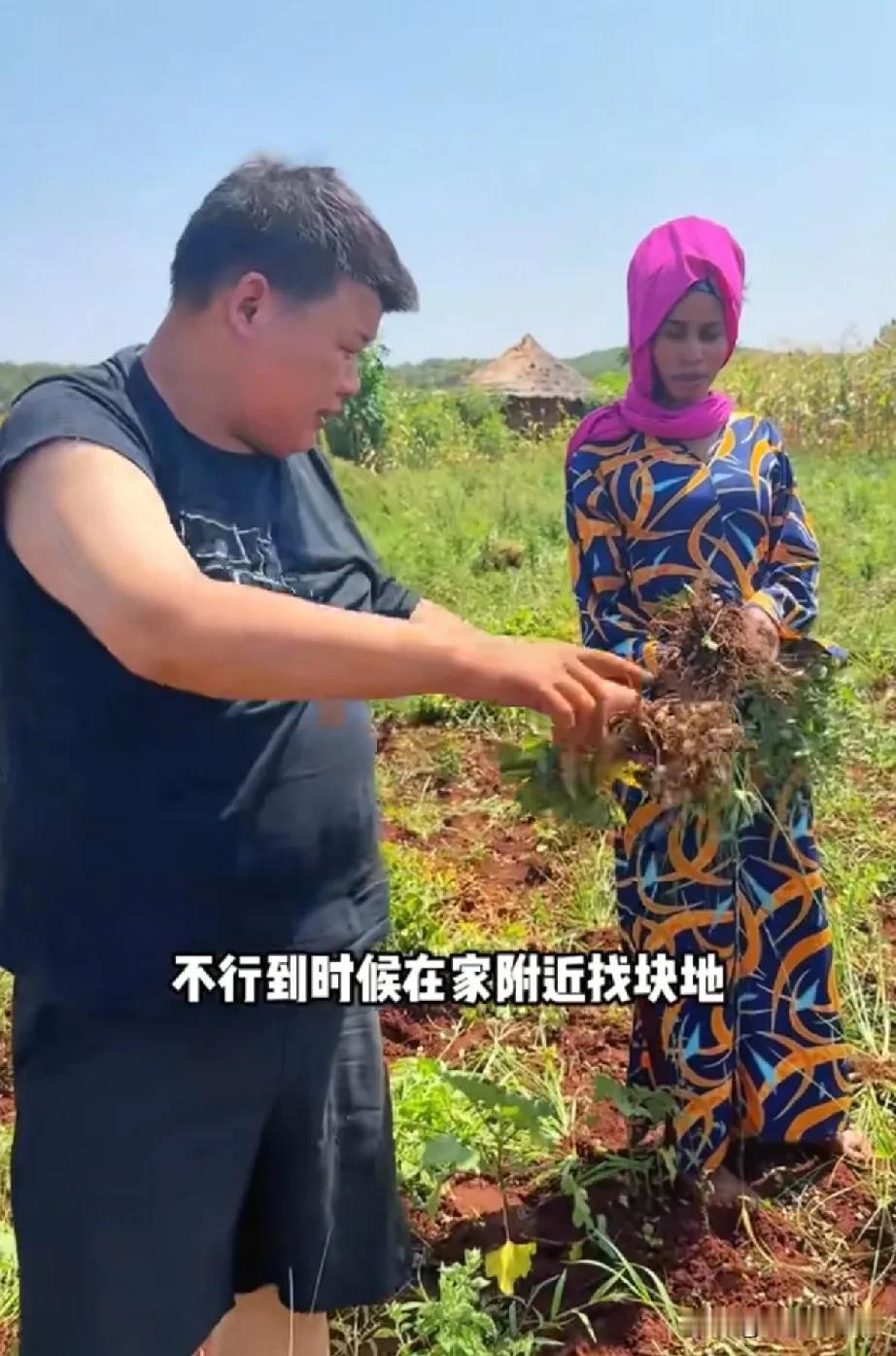 中国女婿小刘非洲“大显身手”，跨国田园生活太圈粉！
 
看小刘和拉乌的非洲生活，