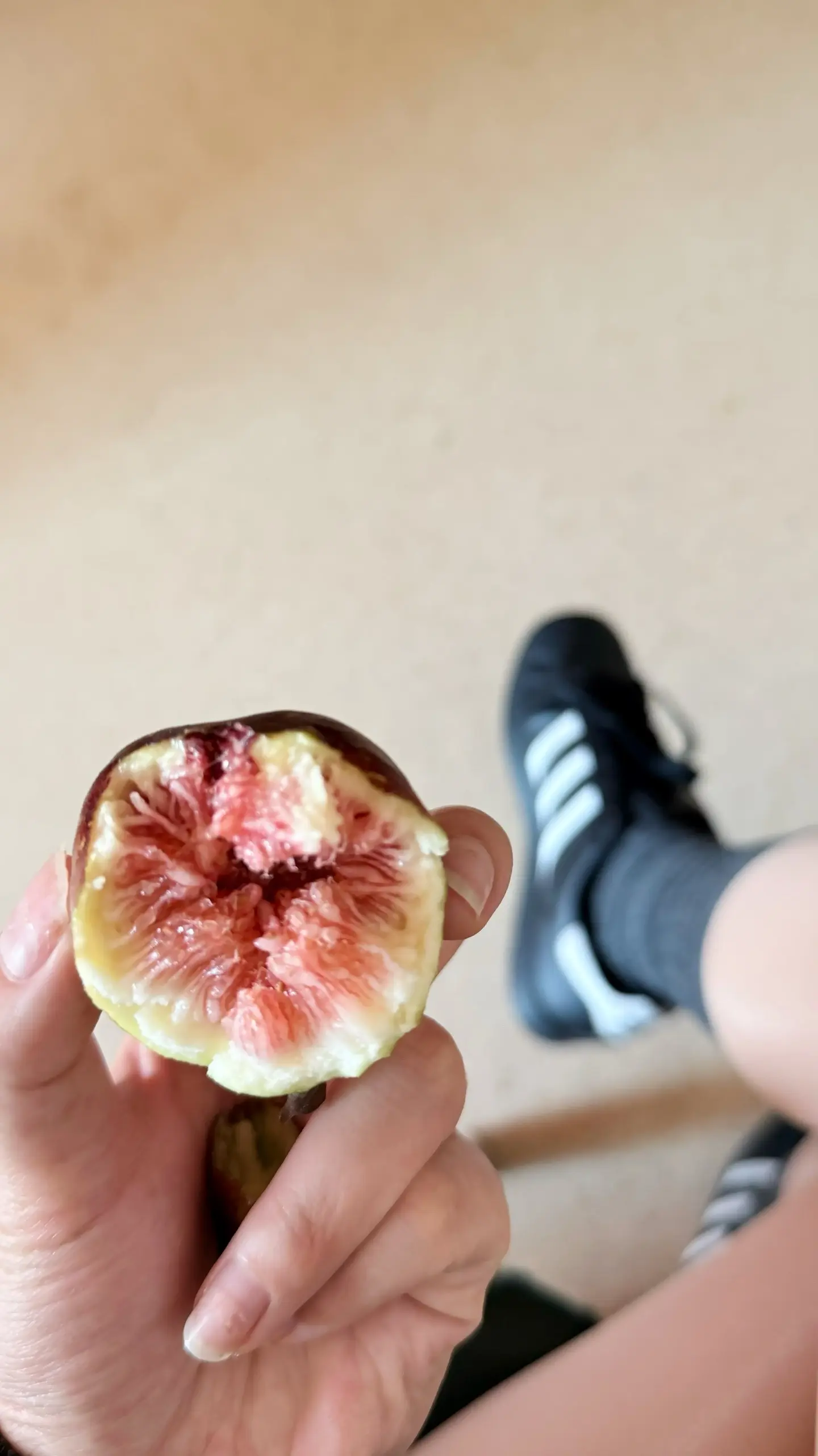生活跟我翻脸 睡一觉 我对生活说早上好.