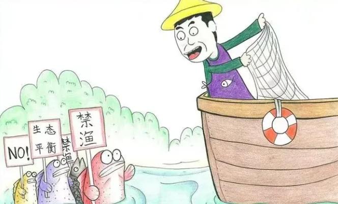 湖南长沙一位大爷因为嫌市场上的螃蟹太贵，竟然自己动手做了个灯笼网去捕捞。他没捕多