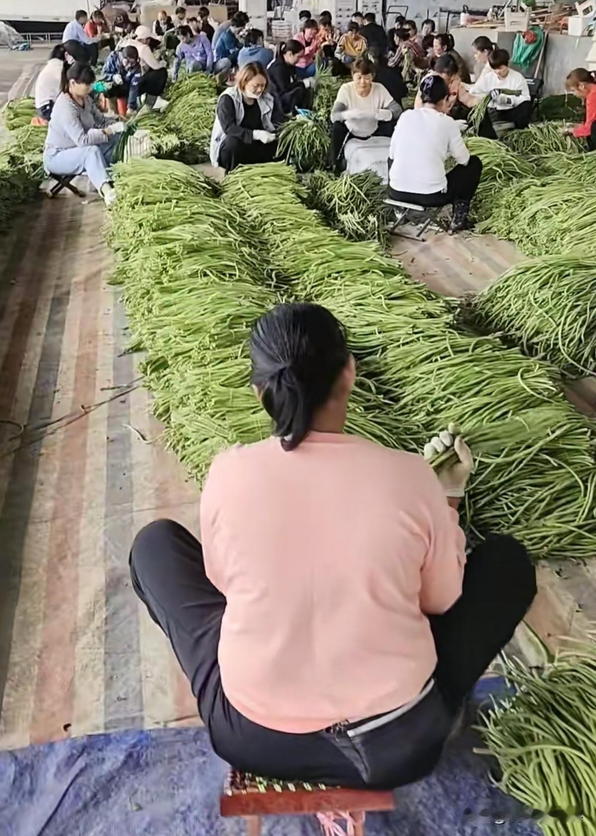 自己一个人在家做电商，太累了，今天店铺两个产品又是3000多单，一天都在打包，虽