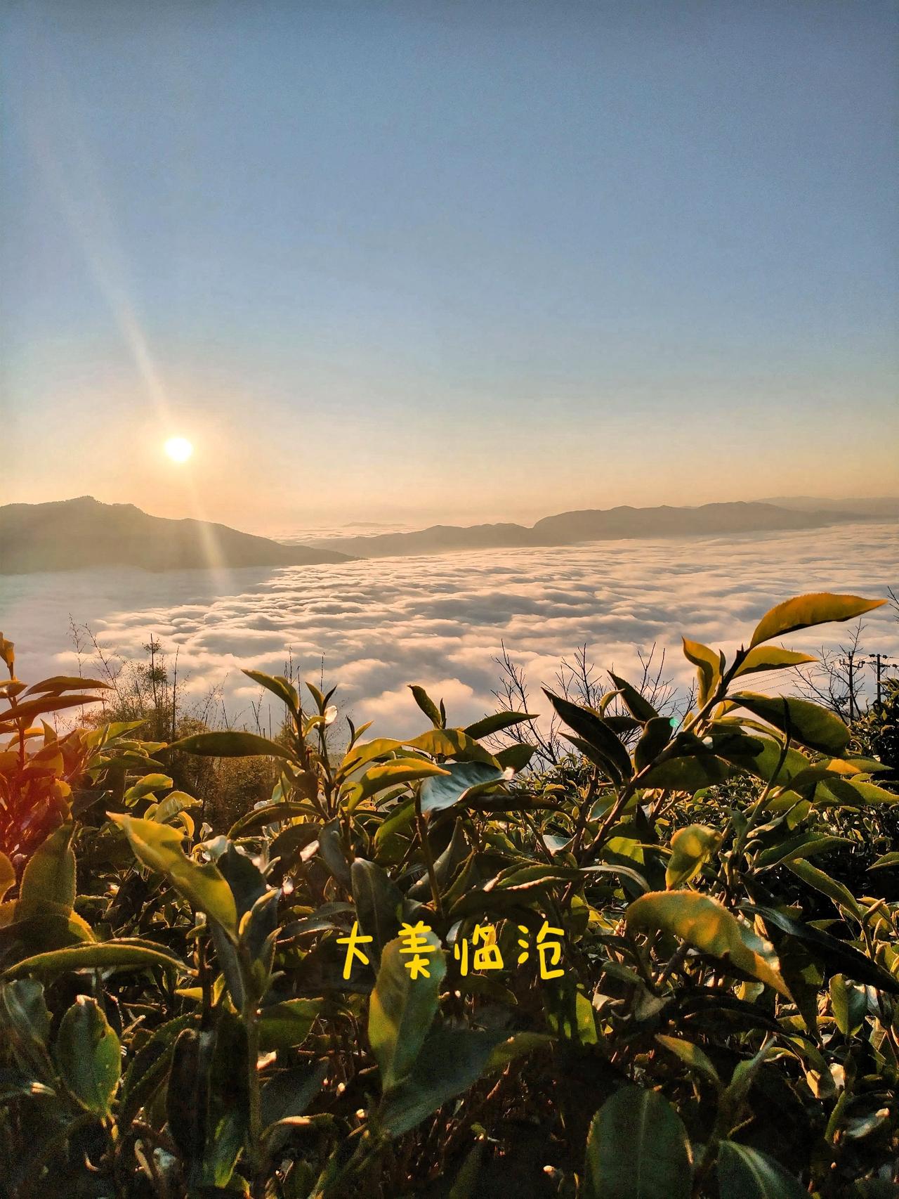 翻相册看到之前在临沧随手拍的云海日出，真的美到失语！
10月底到11月，临沧临翔