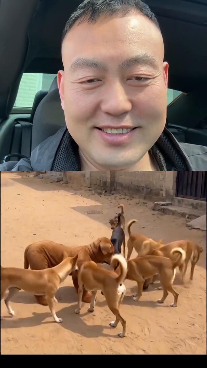 东北话脱口秀第二十五期。
晟伦哥。
家人们今天刷到宝了，先看视频。说啥一句没听懂