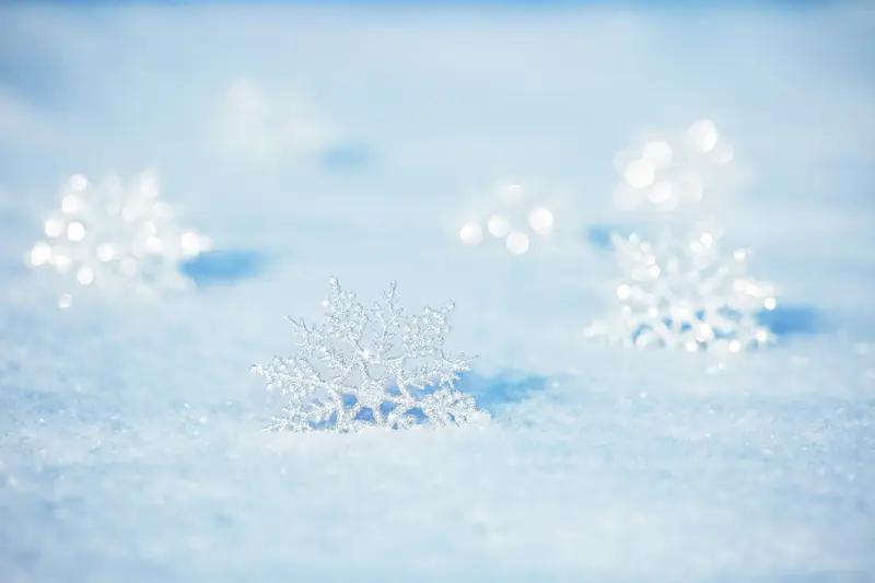 一句话记录冬日心情 冬日傍晚，走在街头，路灯下雪花簌簌飘落，像给世界裹上了层柔软