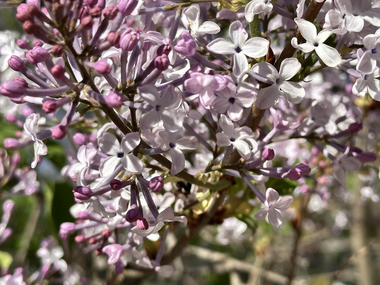 普通人退休金有多高？
其实主要三个因素决定，你交了多少年，你扣了多少钱，还有你在