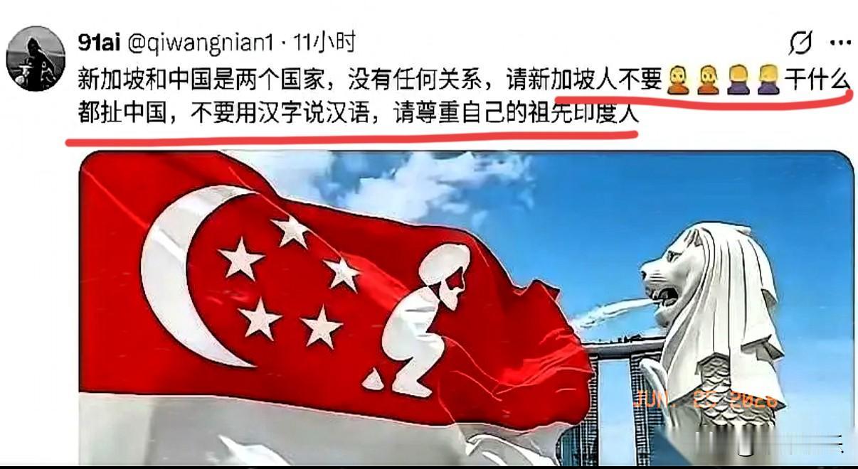 这两天，外网被一句极度刺耳的反讽刷爆了：“请新加坡尊重自己的祖先印度人，别干什么
