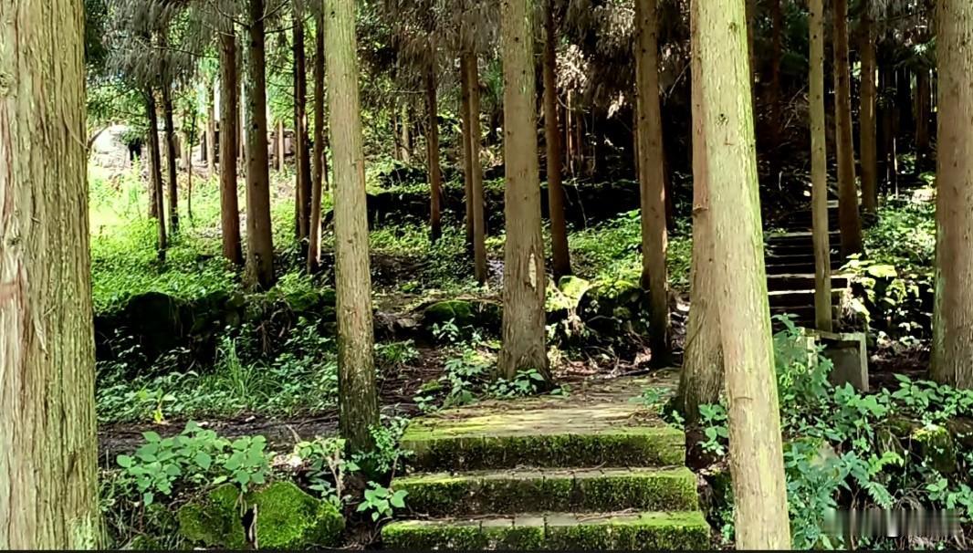 《贵州桐梓九坝二重山简介》
贵州桐梓九坝二重山，坐落在兴茂国际度假区范围内，进山