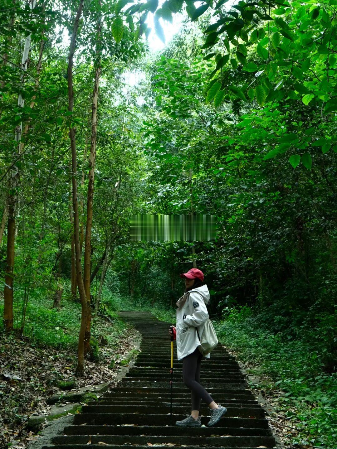 成都1h🍃古寺深山中的隐秘清幽徒步路线