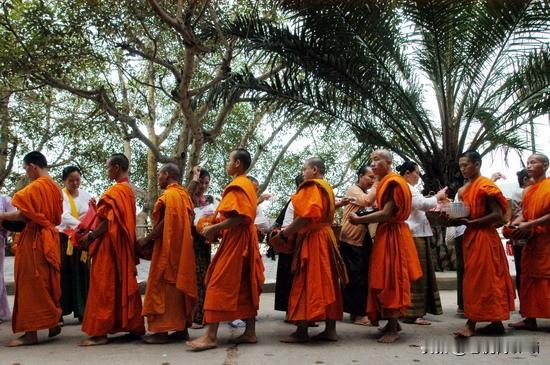 当前出现的怪现象，令人不解
 
最近一个月以来，网上反复出现一种让人百思不得其解